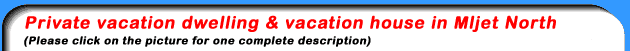 Mljet Croatia + holiday + vacation + holiday house + vacation home + apartment